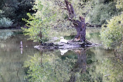 012.JPG (632.42 Kio) Vu 2959 fois 012.JPG