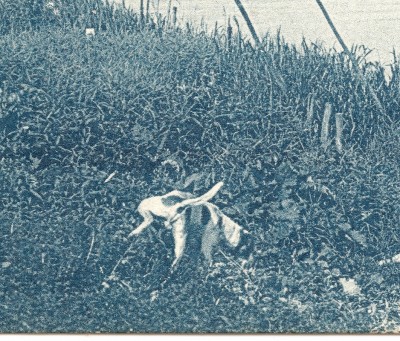 Persan-Beaumont (S.-et-O.) - L'Oise et les pêcheurs - MOGADOR chien.jpg