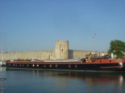 0368 Aiglon.jpg (54.99 Kio) Vu 8091 fois 0368 Aiglon.jpg