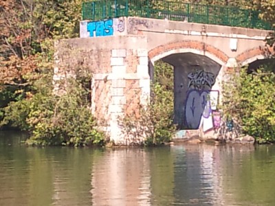 DSC_0071.jpg (265.14 Kio) Vu 1257 fois DSC_0071.jpg