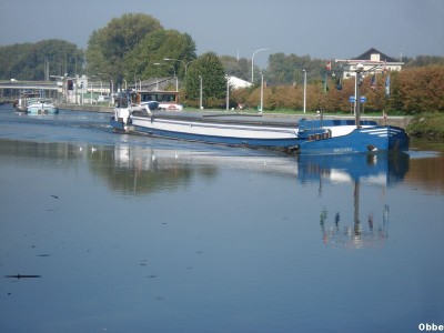 DSC07363.JPG (65.39 Kio) Vu 7416 fois DSC07363.JPG