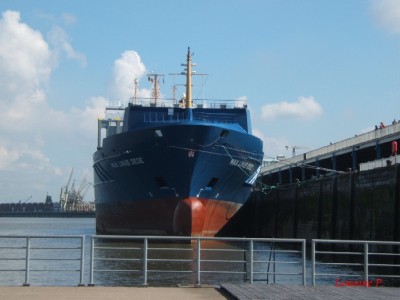 2008_0815x20021.JPG (79.57 Kio) Vu 5038 fois 2008_0815x20021.JPG