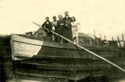 Fave n°1.jpg (124.11 Kio) Vu 8389 fois Fave n°1.jpg