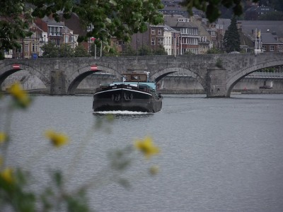 2011_06132010_12050062.JPG