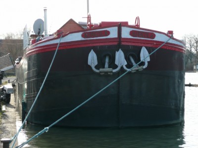 P1000127 (vagus).JPG (441.35 Kio) Vu 11281 fois P1000127 (vagus).JPG