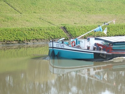 2007_0404x20016.JPG