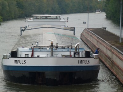 P1010560 (vagus).JPG