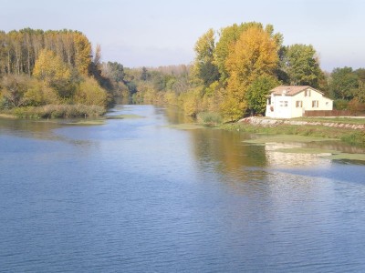 IMGP5205 [800x600].JPG