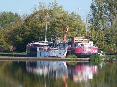 P1010835 (vagus).JPG (298.27 Kio) Vu 11165 fois P1010835 (vagus).JPG