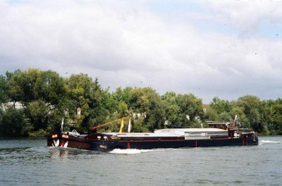 aiglon.jpg (50.43 Kio) Vu 8206 fois aiglon.jpg