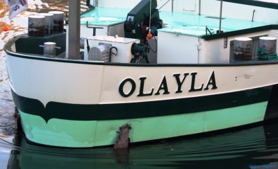 Olayla [1024x768].jpg