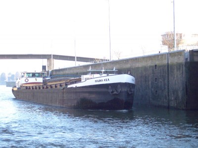 Mauna Kea.jpg (96.39 Kio) Vu 2498 fois Mauna Kea.jpg
