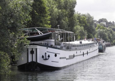 cleome.jpg (243.49 Kio) Vu 2802 fois cleome.jpg