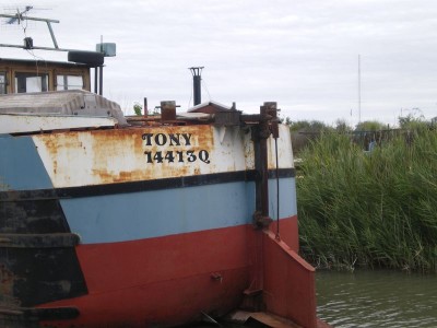 IMGP4728 [800x600].JPG