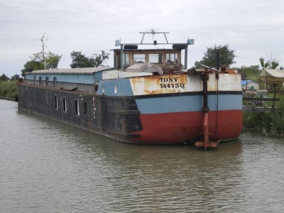 IMGP4727 [800x600].JPG