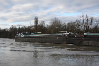 IMG_8511 (Copier).JPG (513.53 Kio) Vu 4253 fois IMG_8511 (Copier).JPG