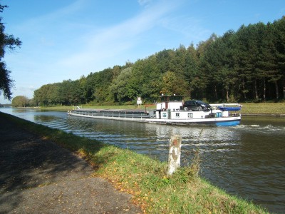 2008_1004x20019.JPG (221.61 Kio) Vu 1684 fois 2008_1004x20019.JPG