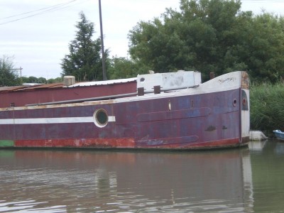 IMGP4723 [800x600].JPG