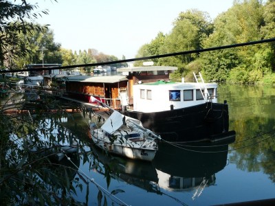 fledermaus-ar.JPG (508.45 Kio) Vu 5634 fois fledermaus-ar.JPG