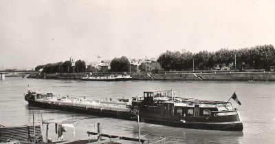 arles-cerf-extCP-estel-44906.jpg