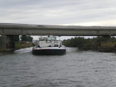 IMGP4706 [800x600].JPG