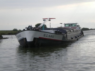IMGP4705 [800x600].JPG
