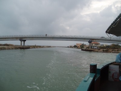 006.JPG (136.69 Kio) Vu 8146 fois 006.JPG