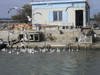 011.JPG (295.83 Kio) Vu 8146 fois 011.JPG