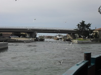 032.JPG (257.54 Kio) Vu 8146 fois 032.JPG