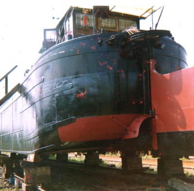 cigale-03.jpg