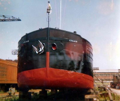 cigale-01@veret.jpg