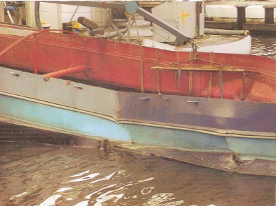 46.jpg