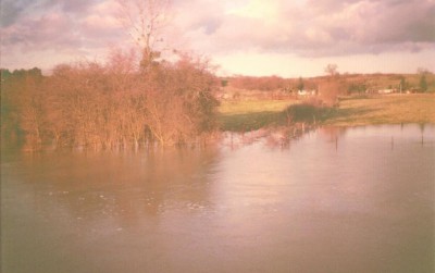 9.jpg (65.79 Kio) Vu 3301 fois 9.jpg