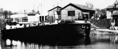 auxerrois - 3.jpg (196.88 Kio) Vu 3132 fois auxerrois - 3.jpg