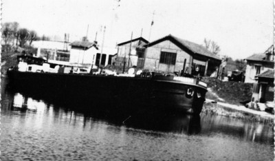 auxerrois.jpg (299.93 Kio) Vu 3132 fois auxerrois.jpg