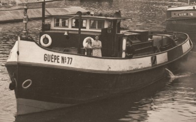 02 - GUEPE 77.jpg (452.45 Kio) Vu 2712 fois 02 - GUEPE 77.jpg