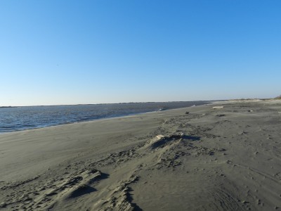 les grandes bouches.JPG (173.96 Kio) Vu 4958 fois les grandes bouches.JPG