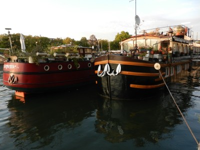 NOVA (1).JPG (165.22 Kio) Vu 5151 fois NOVA (1).JPG