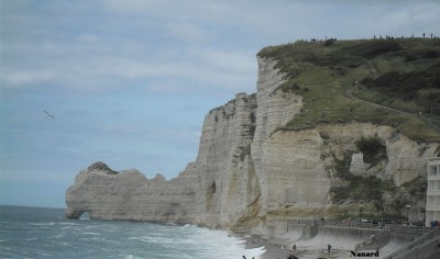 SAM_0136.JPG (80.5 Kio) Vu 4251 fois SAM_0136.JPG