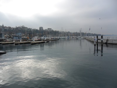 rive2.JPG (136.55 Kio) Vu 1474 fois rive2.JPG