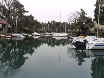 ripaille (5).JPG (153.08 Kio) Vu 1474 fois ripaille (5).JPG