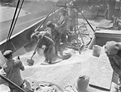 29.jpg (131.89 Kio) Vu 2907 fois 29.jpg