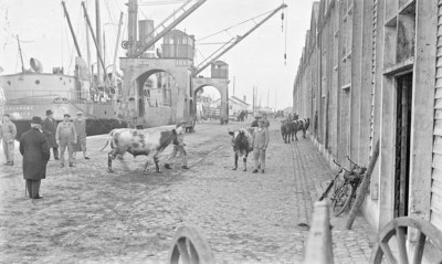 26.jpg (105.52 Kio) Vu 2907 fois 26.jpg