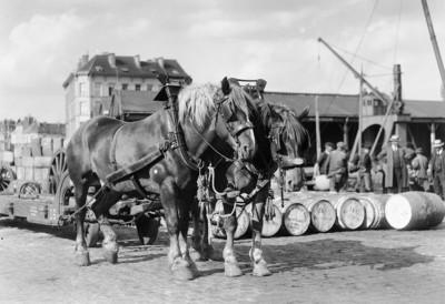 17.jpg (104.95 Kio) Vu 2907 fois 17.jpg