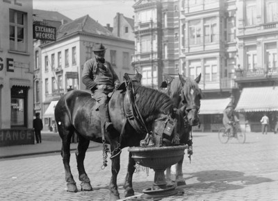 9.jpg (110.28 Kio) Vu 2906 fois 9.jpg