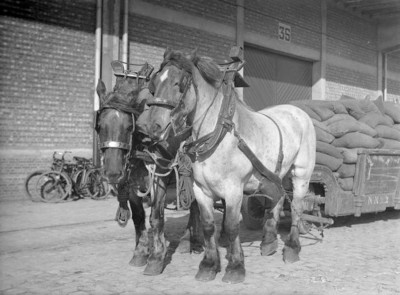 8.jpg (108.79 Kio) Vu 2906 fois 8.jpg