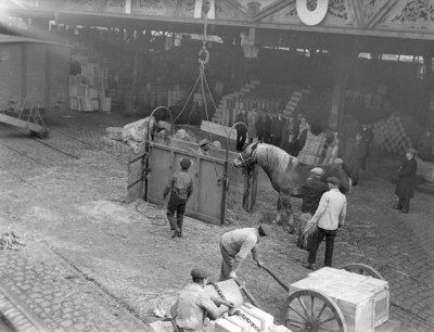 5 .jpg (103.33 Kio) Vu 2906 fois 5 .jpg