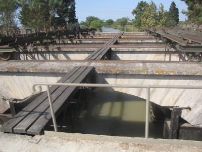 VACANCES PORTIRAGNE AOUT 2009 020.jpg (186.7 Kio) Vu 1035 fois VACANCES PORTIRAGNE AOUT 2009 020.jpg