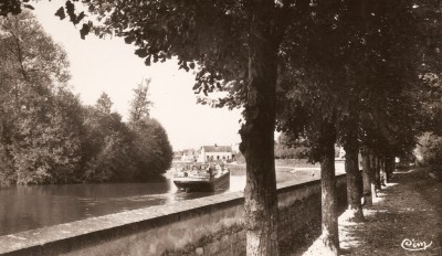 Monéteau (Yonne) - Parc municipal - Vue sur l'Yonne (vagus).jpg