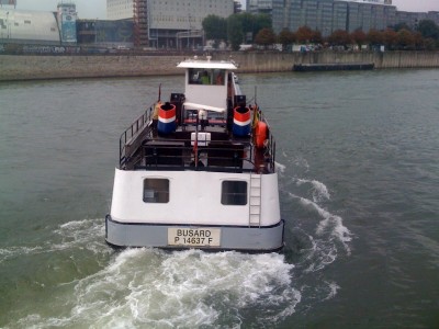 Busard 3.jpg